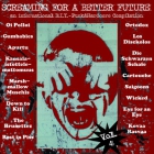 V.A. - Screaming for a better future Vol. 4