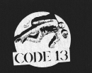 Code 13