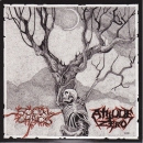 Social Chaos / Atitude Zero - Split