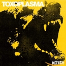 Toxoplasma - Köter (farbig)