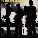 Toxoplasma - dto. (coloured)
